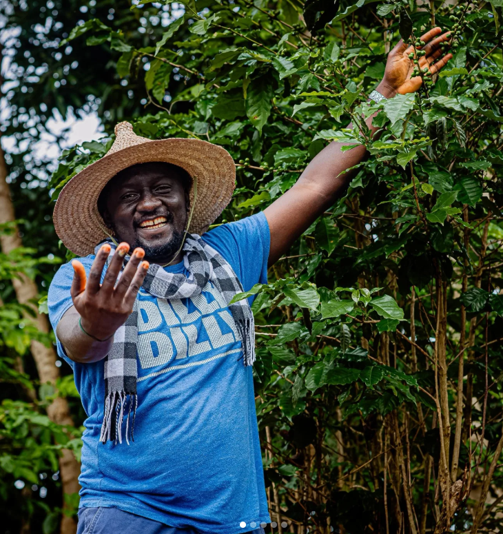 Coffee farming in Nigeria